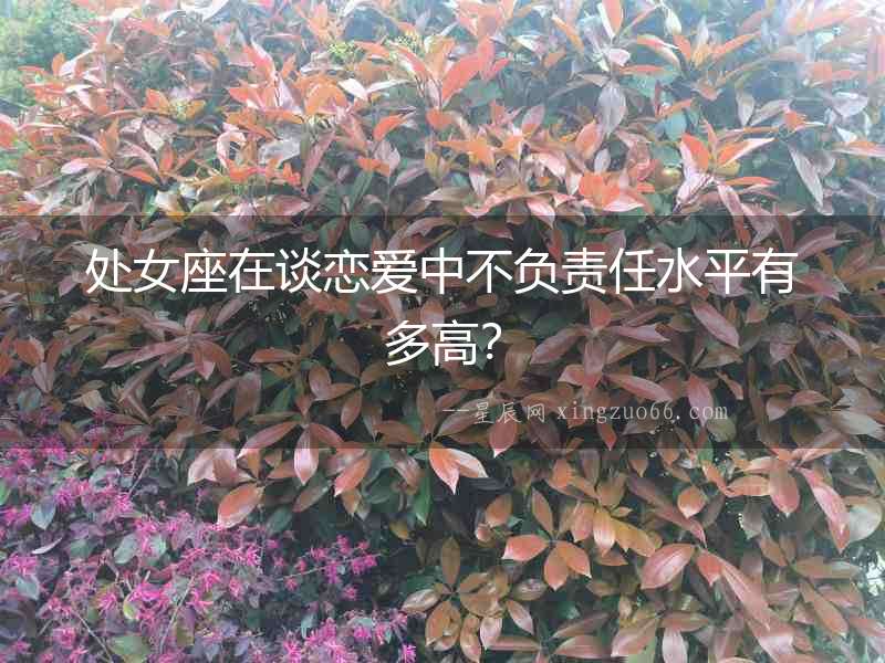 處女座在談戀愛中不負責任水平有多高？