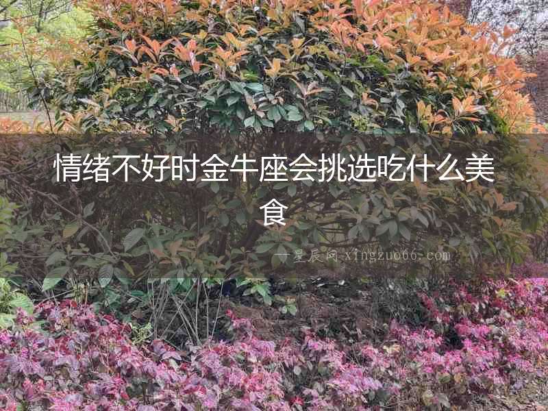 情緒不好時金牛座會挑選吃什么美食