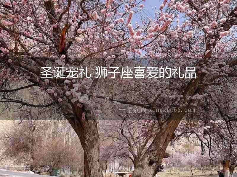 圣誕寵禮 獅子座喜愛的禮品