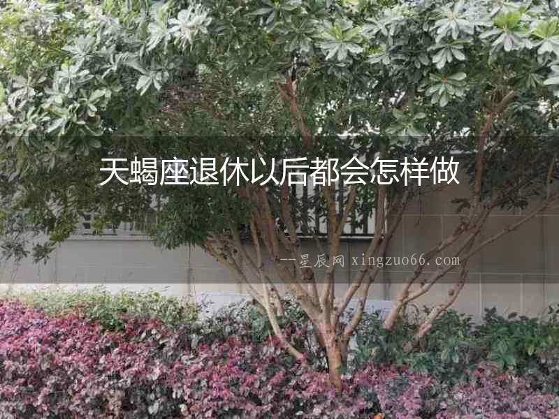 天蝎座退休以后都會怎樣做
