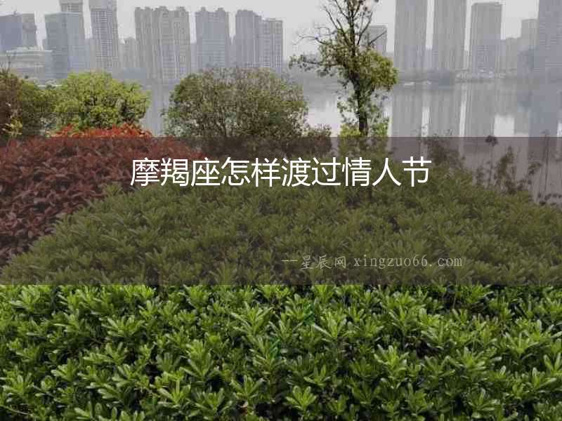 摩羯座怎樣渡過情人節(jié)