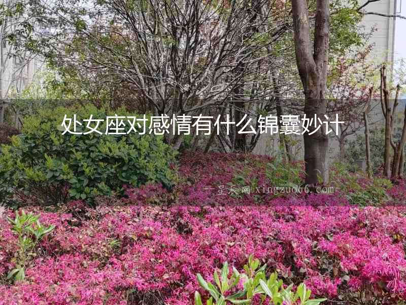 處女座對感情有什么錦囊妙計