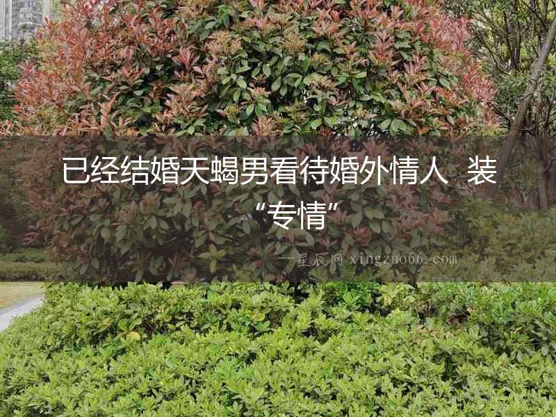 已經結婚天蝎男看待婚外情人  裝“專情”