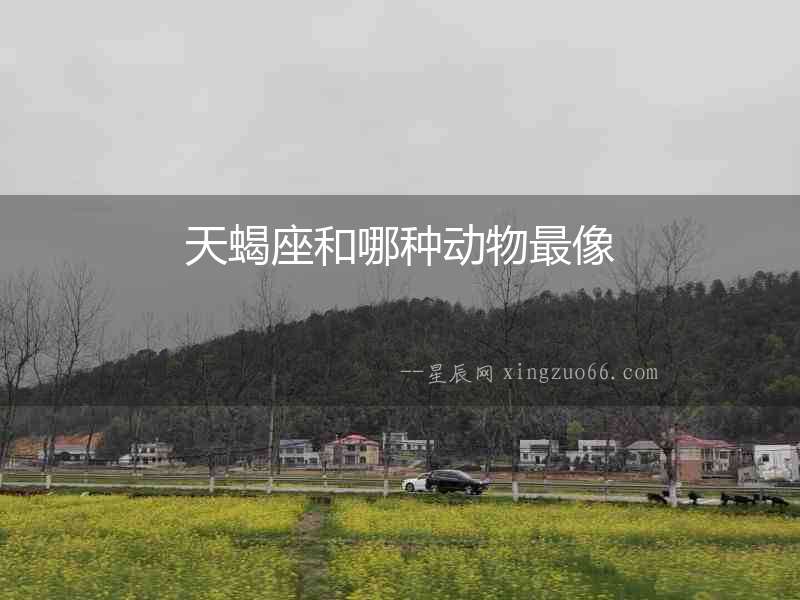 天蝎座和哪種動物最像
