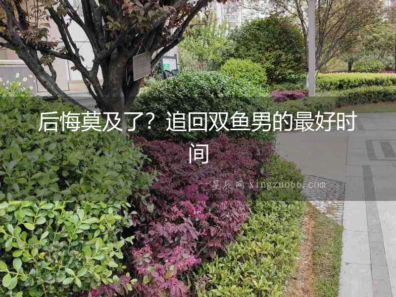 后悔莫及了？追回雙魚男的最好時間