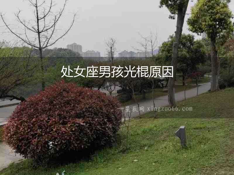 處女座男孩光棍原因