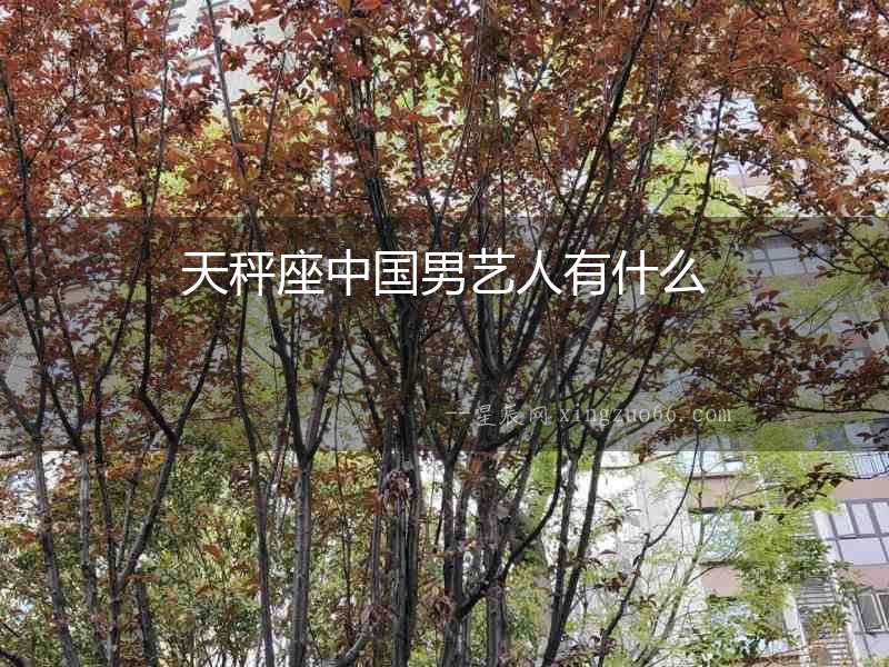 天秤座中國男藝人有什么