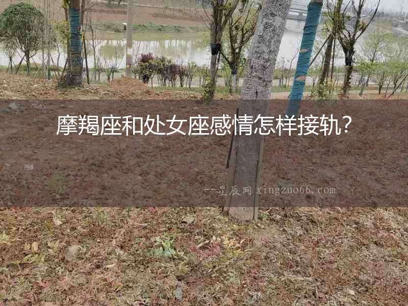 摩羯座和處女座感情怎樣接軌？