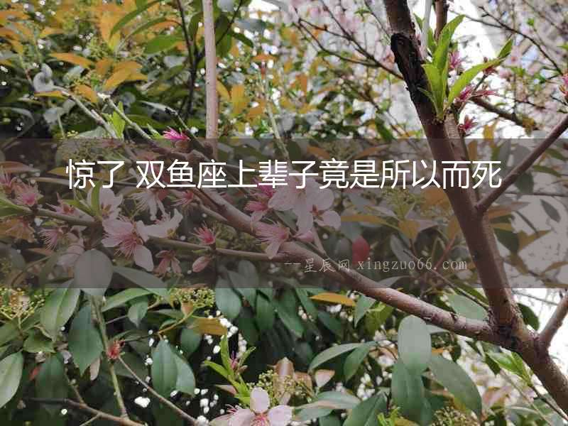 驚了 雙魚座上輩子竟是所以而死