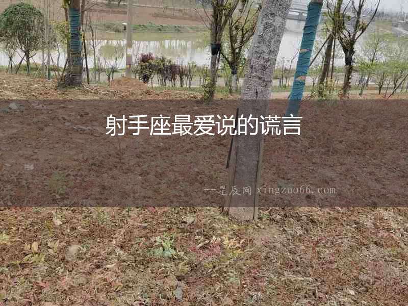 射手座最愛說的謊言