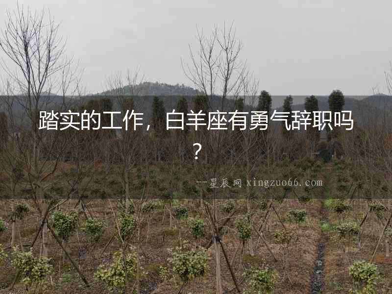 踏實的工作，白羊座有勇氣辭職嗎？