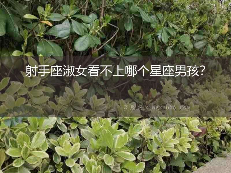射手座淑女看不上哪個星座男孩？