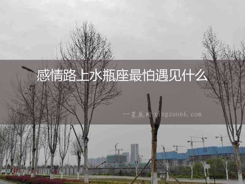 感情路上水瓶座最怕遇見什么