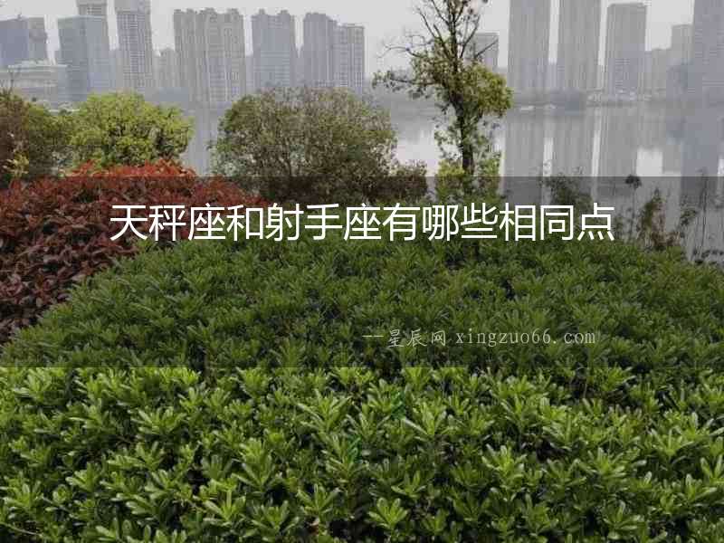 天秤座和射手座有哪些相同點