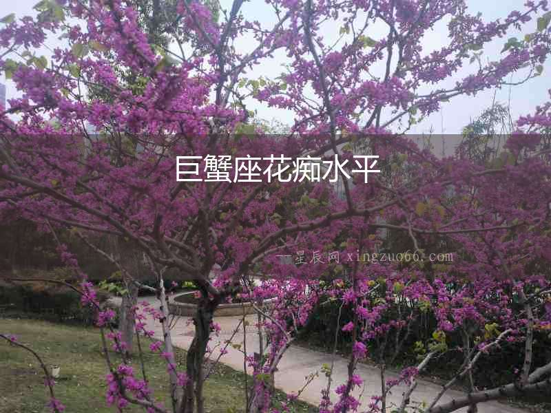 巨蟹座花癡水平