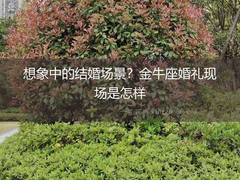 想象中的結(jié)婚場(chǎng)景？金牛座婚禮現(xiàn)場(chǎng)是怎樣