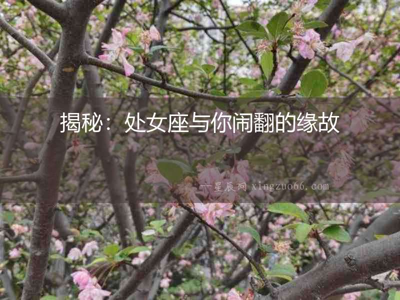 揭秘：處女座與你鬧翻的緣故
