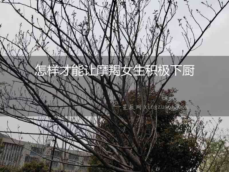 怎樣才能讓摩羯女生積極下廚