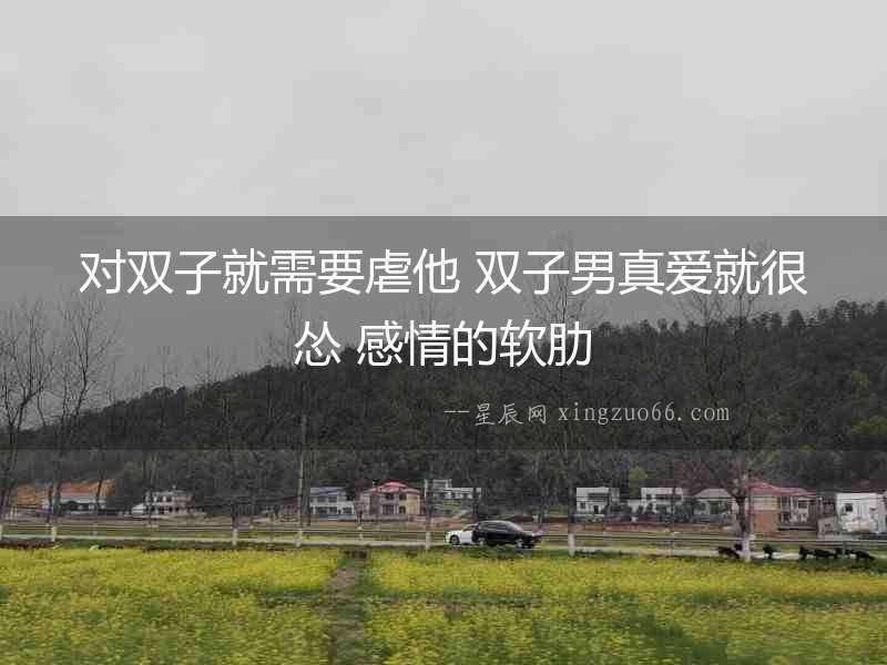 對雙子就需要虐他 雙子男真愛就很慫 感情的軟肋