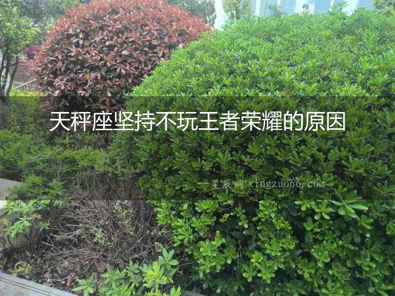 天秤座堅(jiān)持不玩王者榮耀的原因