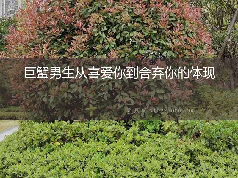 巨蟹男生從喜愛你到舍棄你的體現