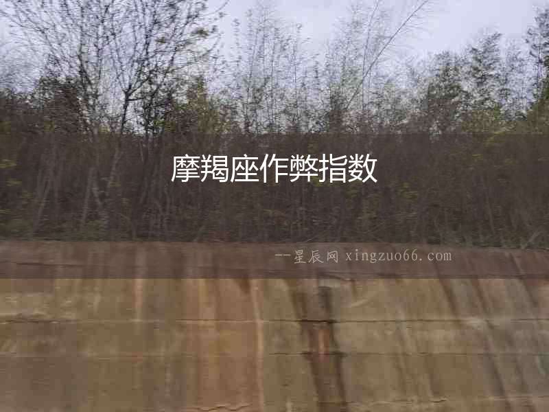 摩羯座作弊指數