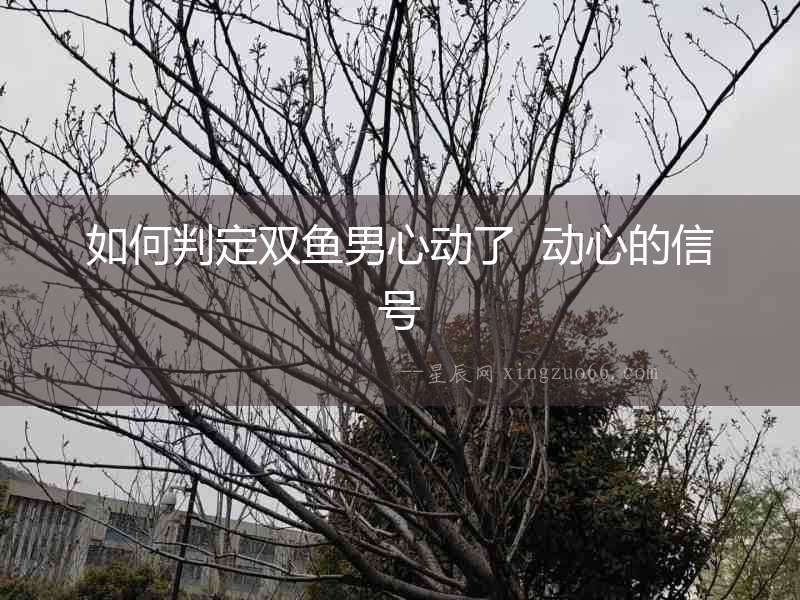 如何判定雙魚男心動了  動心的信號