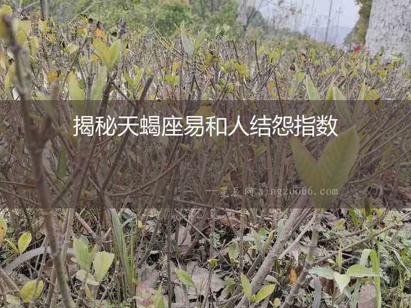 揭秘天蝎座易和人結怨指數