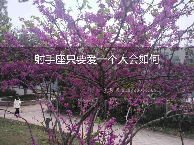 射手座只要愛一個人會如何