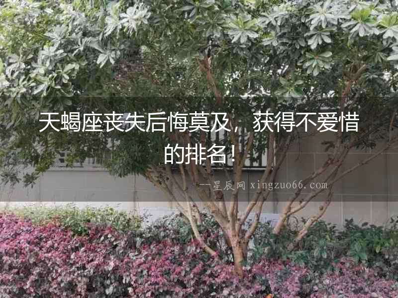 天蝎座喪失后悔莫及，獲得不愛惜的排名！
