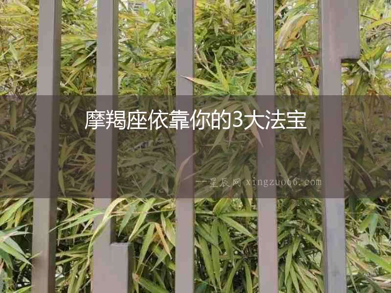 摩羯座依靠你的3大法寶