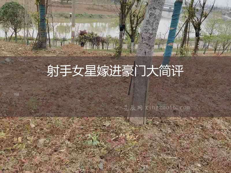 射手女星嫁進(jìn)豪門大簡評