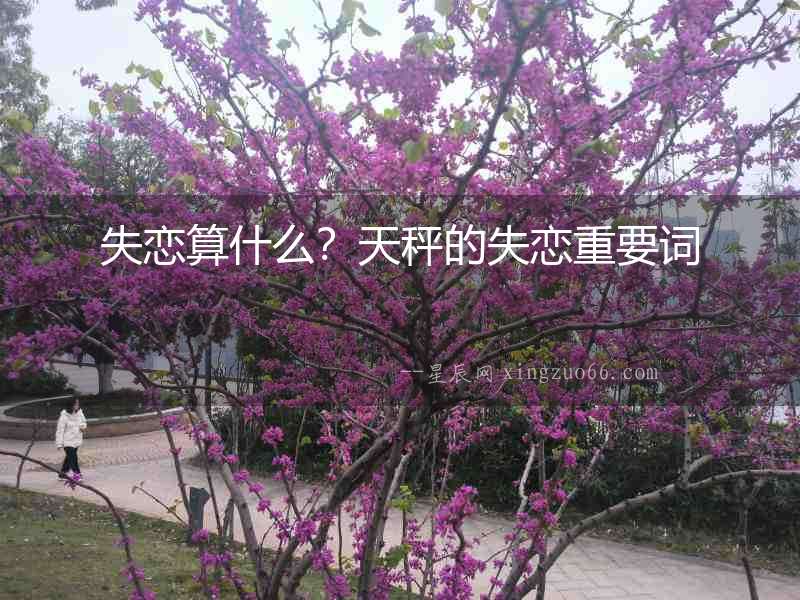 失戀算什么？天秤的失戀重要詞