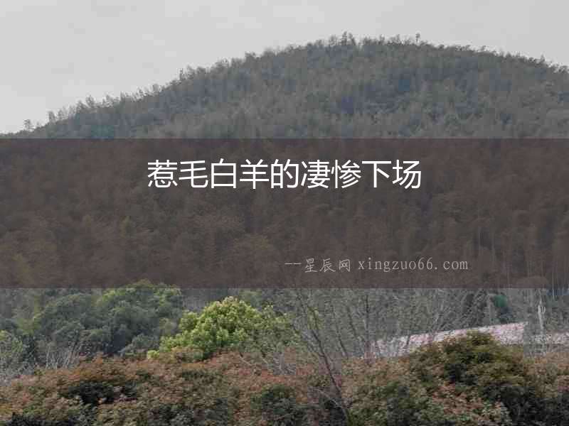 惹毛白羊的凄慘下場