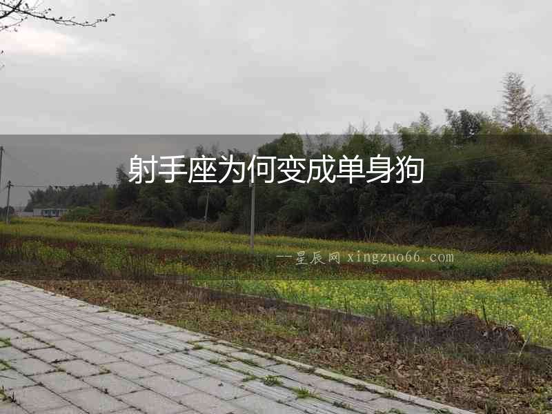射手座為何變成單身狗