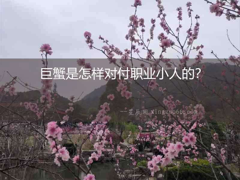 巨蟹是怎樣對付職業(yè)小人的？
