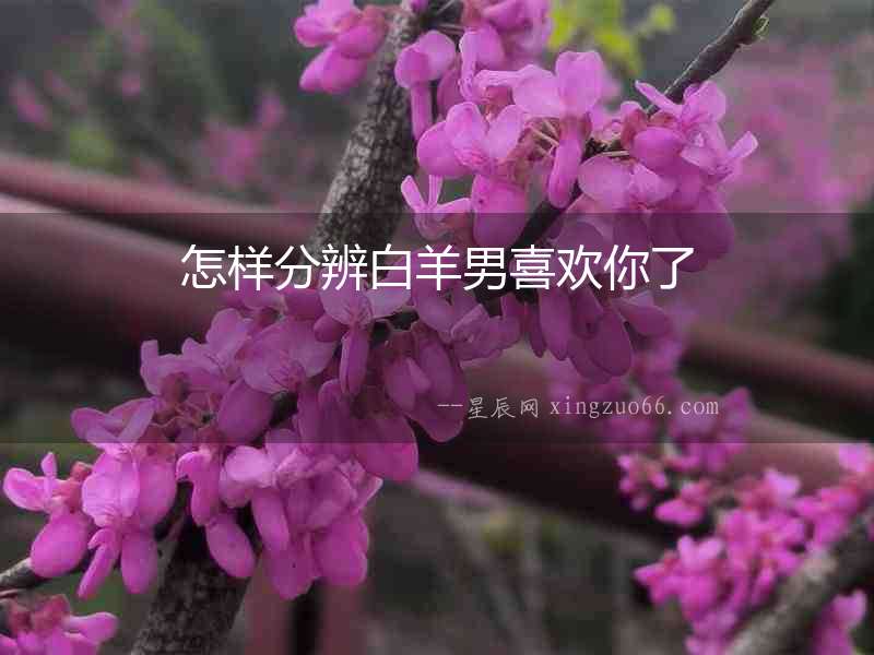怎樣分辨白羊男喜歡你了