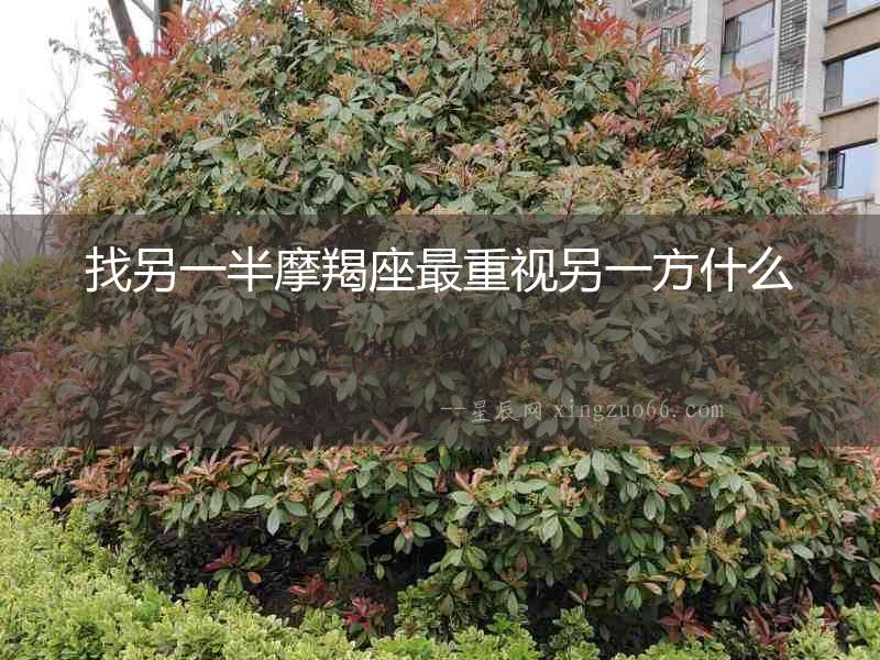找另一半摩羯座最重視另一方什么