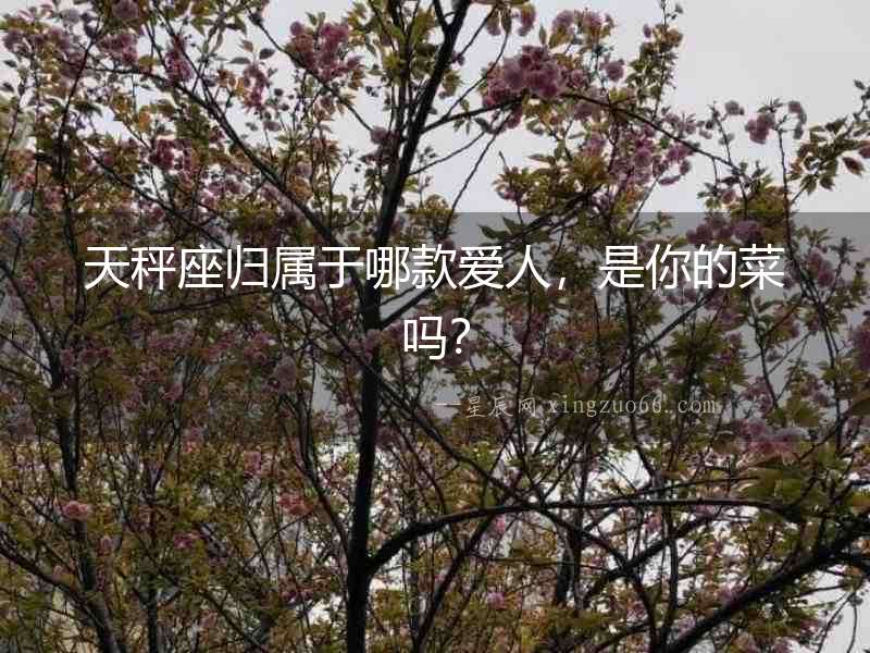天秤座歸屬于哪款愛人，是你的菜嗎？