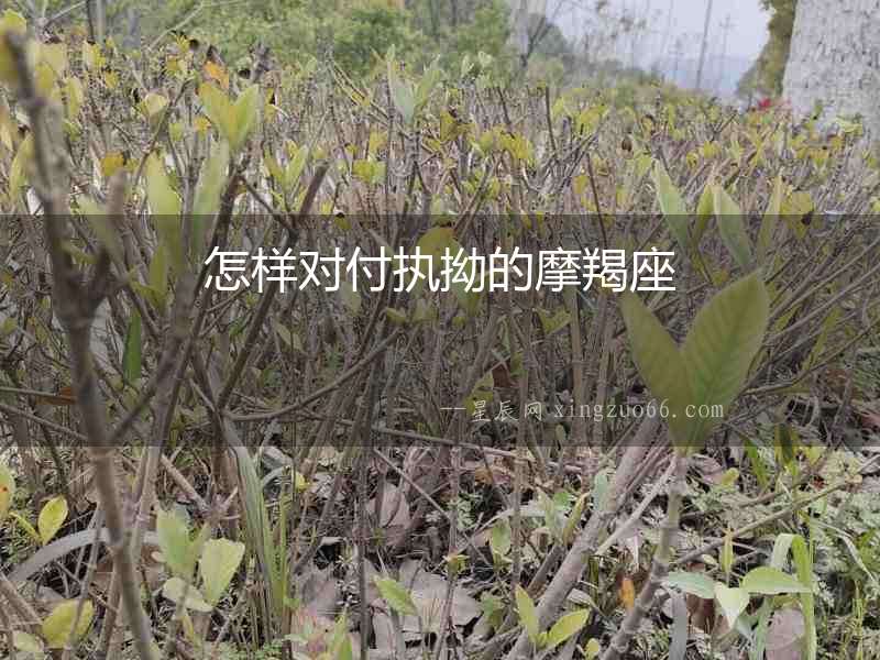 怎樣對(duì)付執(zhí)拗的摩羯座