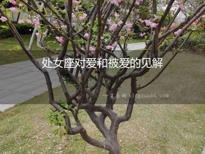 處女座對愛和被愛的見解