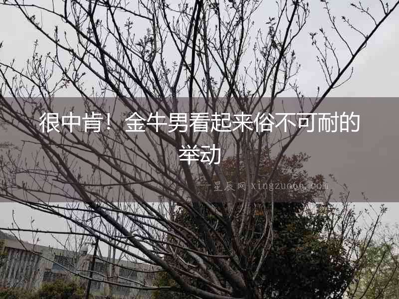 很中肯！金牛男看起來俗不可耐的舉動