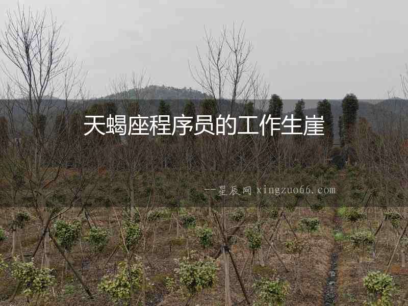 天蝎座程序員的工作生崖