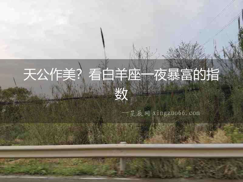 天公作美？看白羊座一夜暴富的指數