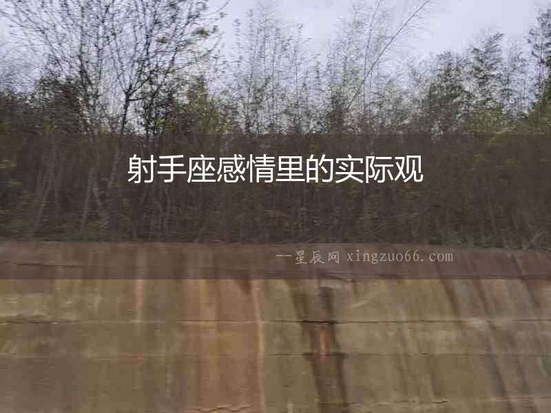 射手座感情里的實際觀