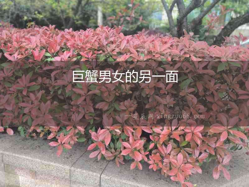 巨蟹男女的另一面