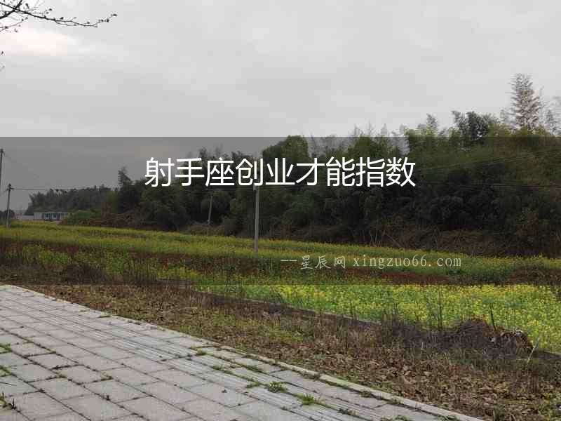 射手座創業才能指數