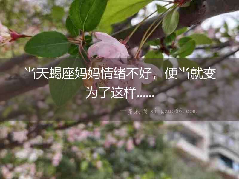 當(dāng)天蝎座媽媽情緒不好，便當(dāng)就變?yōu)榱诉@樣......