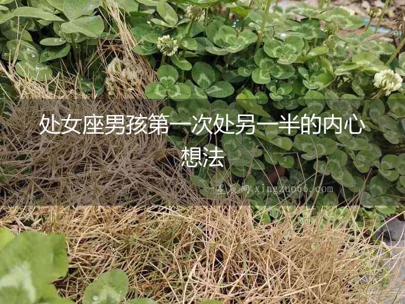 處女座男孩第一次處另一半的內心想法