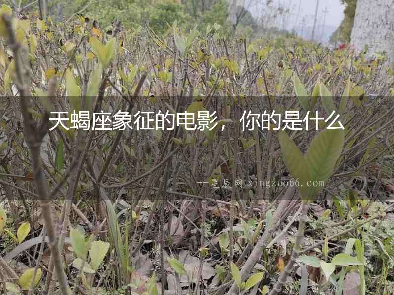 天蝎座象征的電影，你的是什么